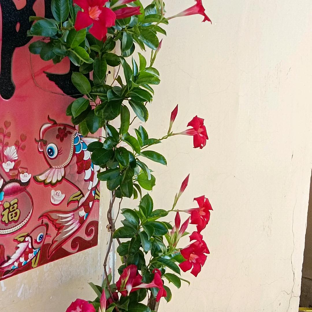 你好在吗