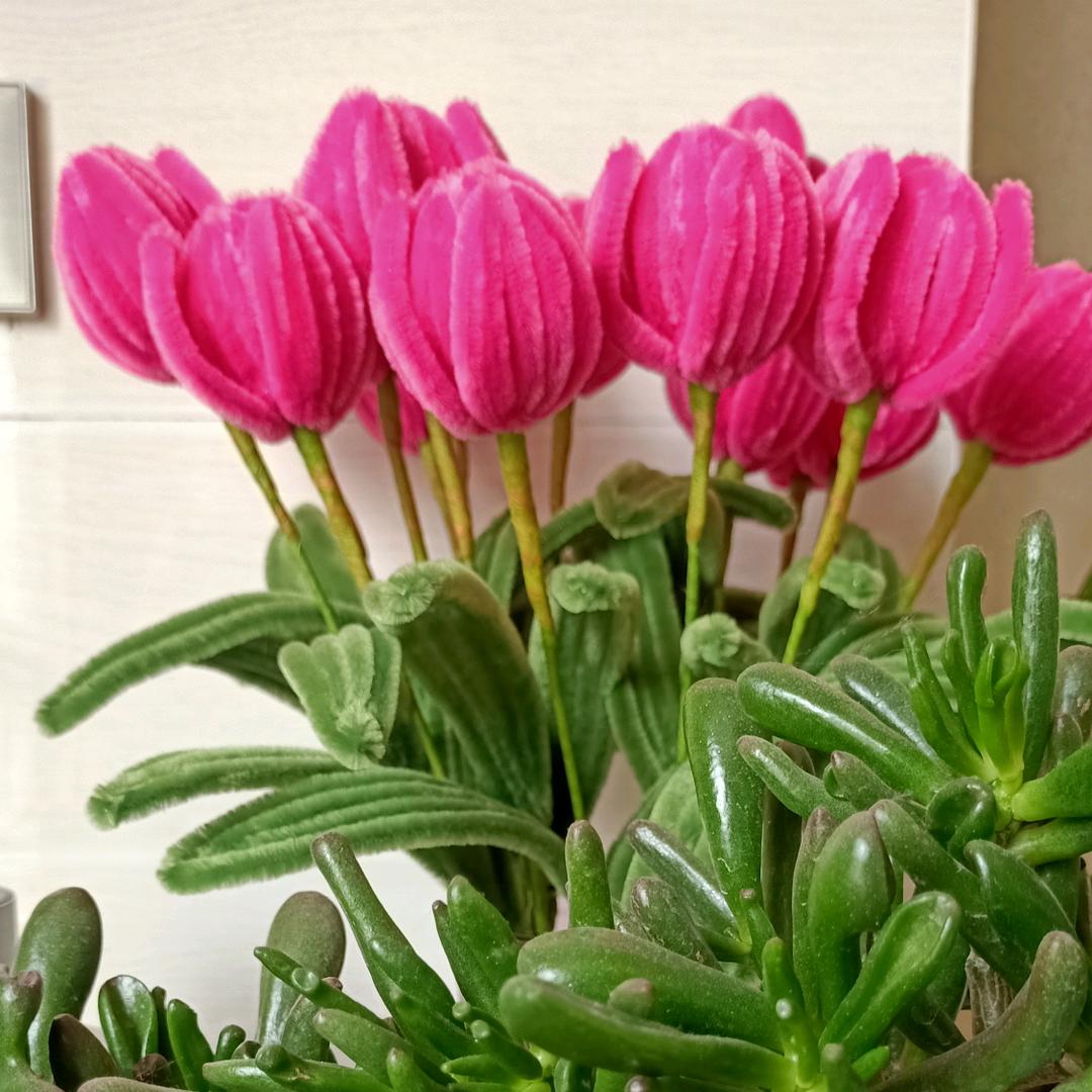 开心就好258928850