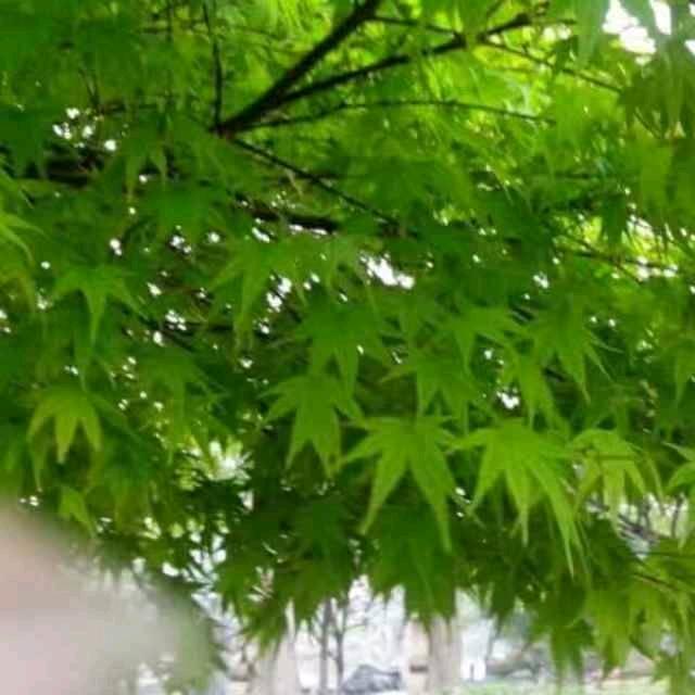 海阔=天空