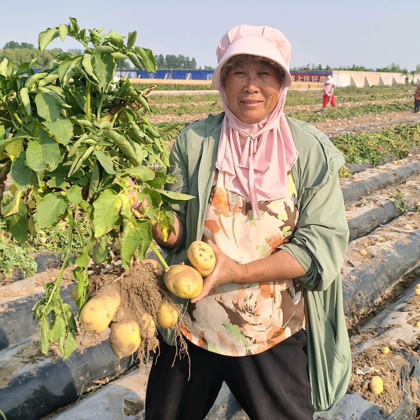 幸福二姐  滕州市龙北农副产品服务部