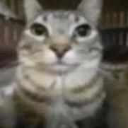 严肃起来不要笑