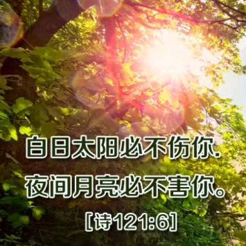 尘土