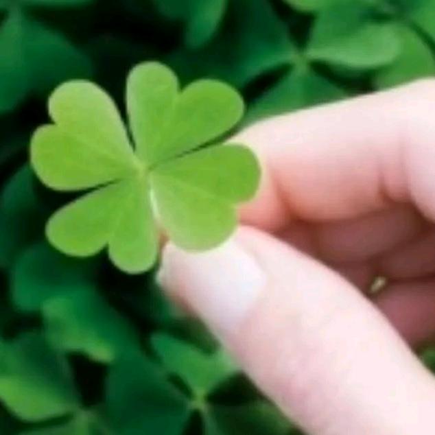 (微*￣笑︶小￣蓝)