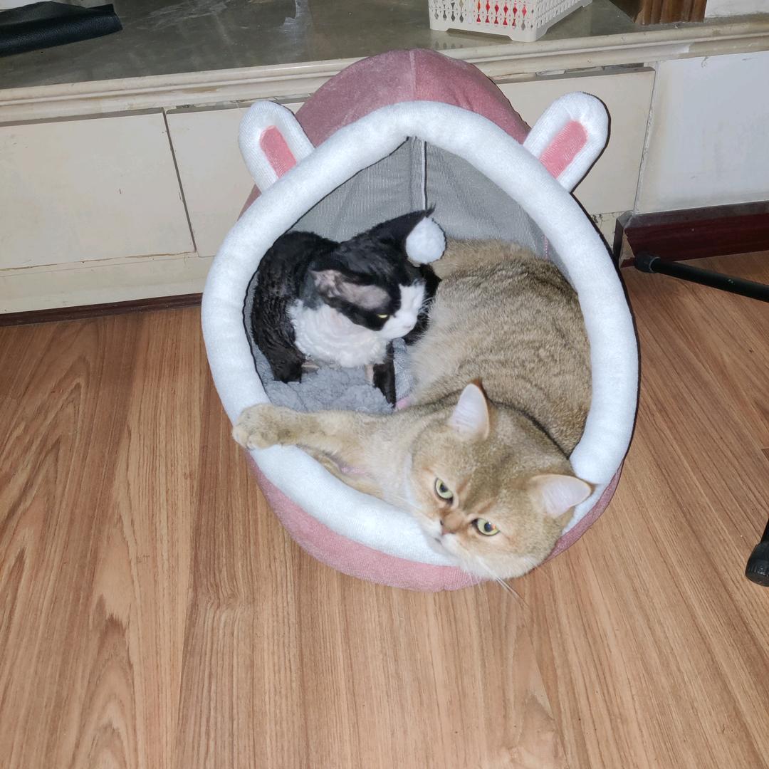 爵士大师李咸鱼