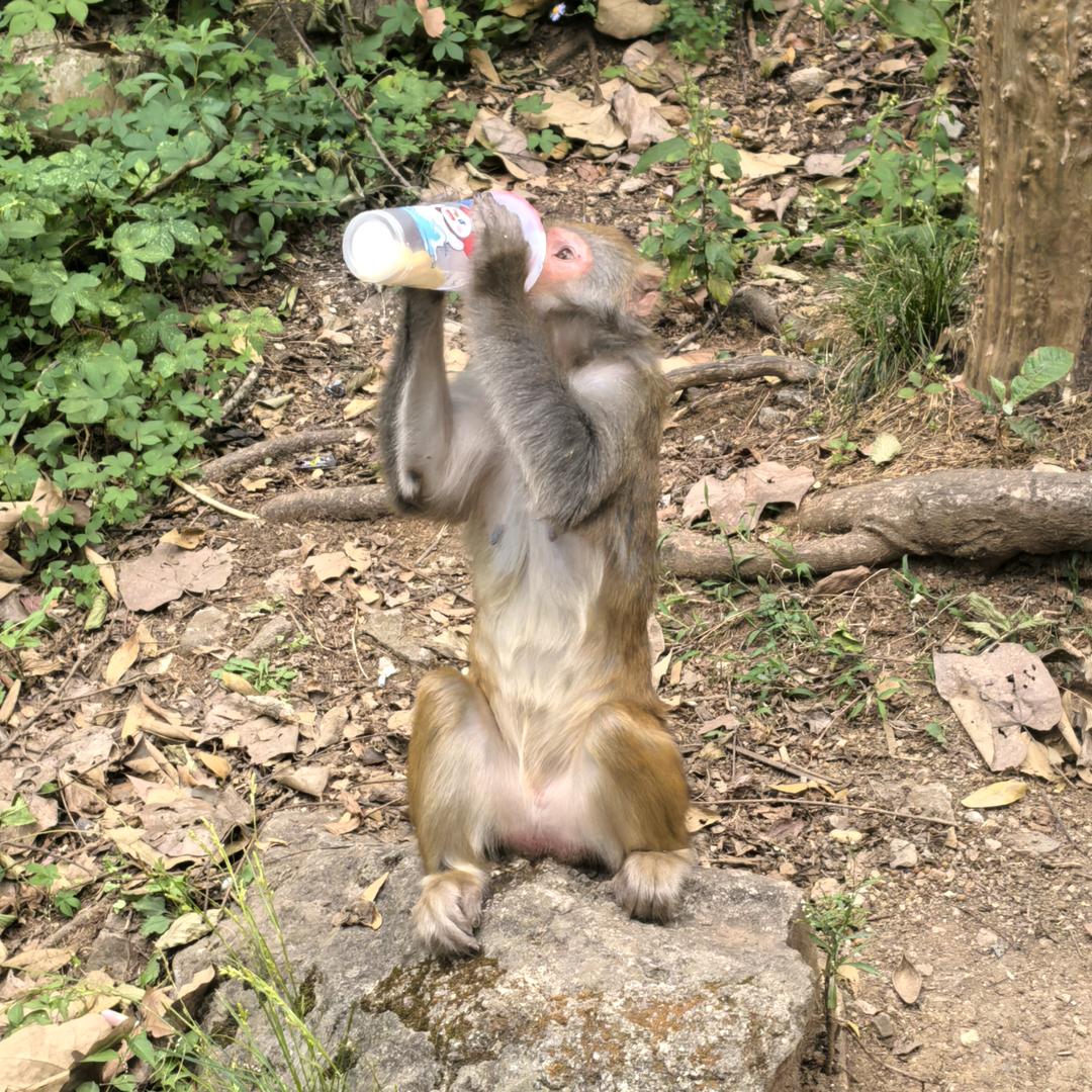 风。飘。