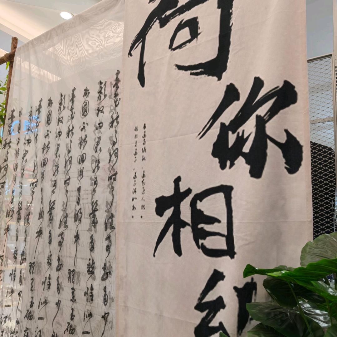 是金豆不是真逗
