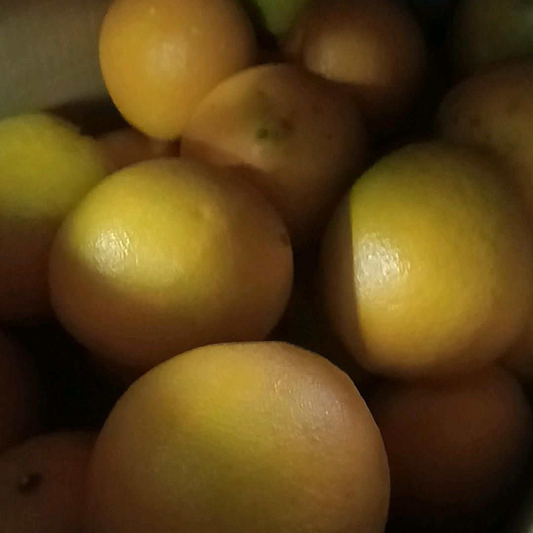 三十二号发低保