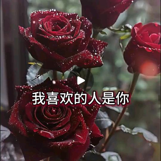 好想你再抱抱我