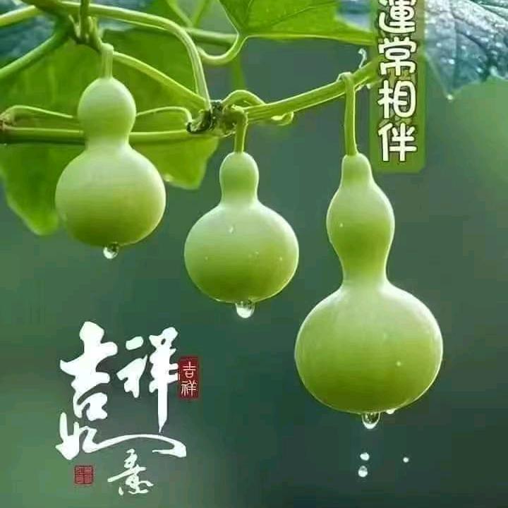 ❤富贵靠自己❤