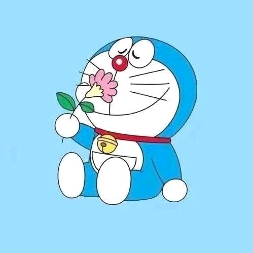 鱼鱼，弟弟