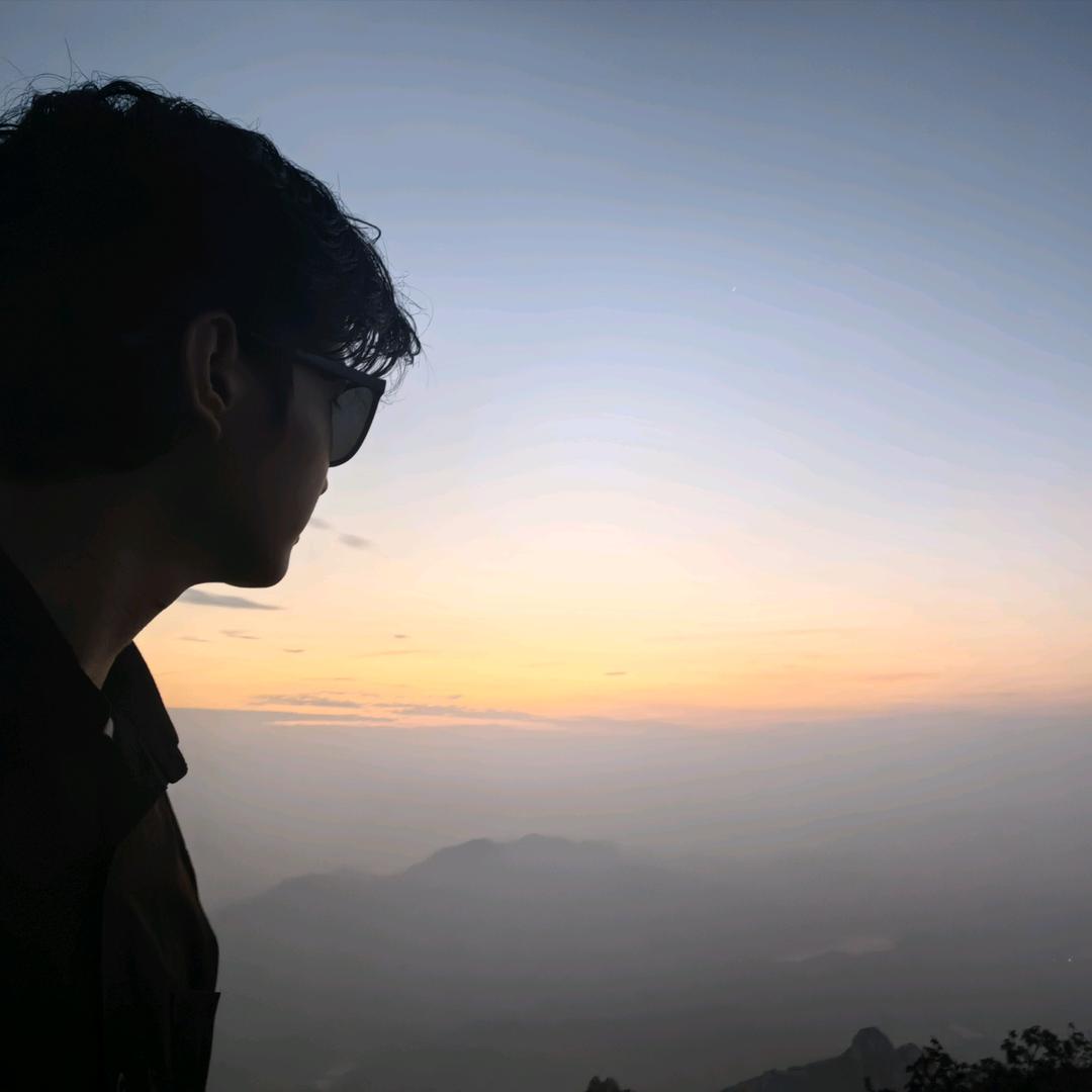 锦灰