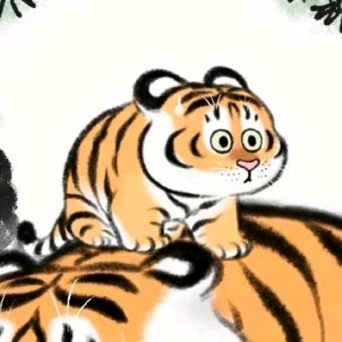 红山猫