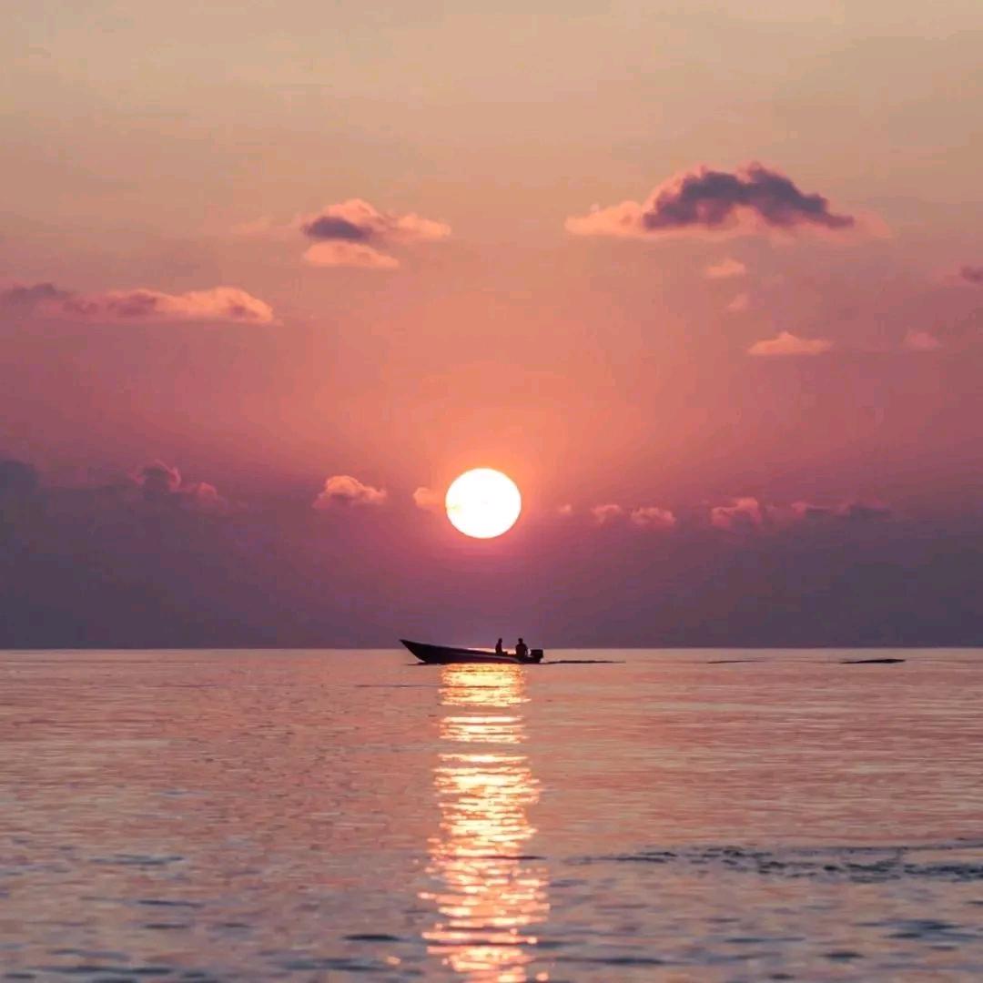 此号已转移大号