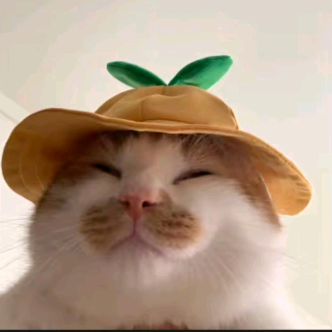 ³⁹度的风☜