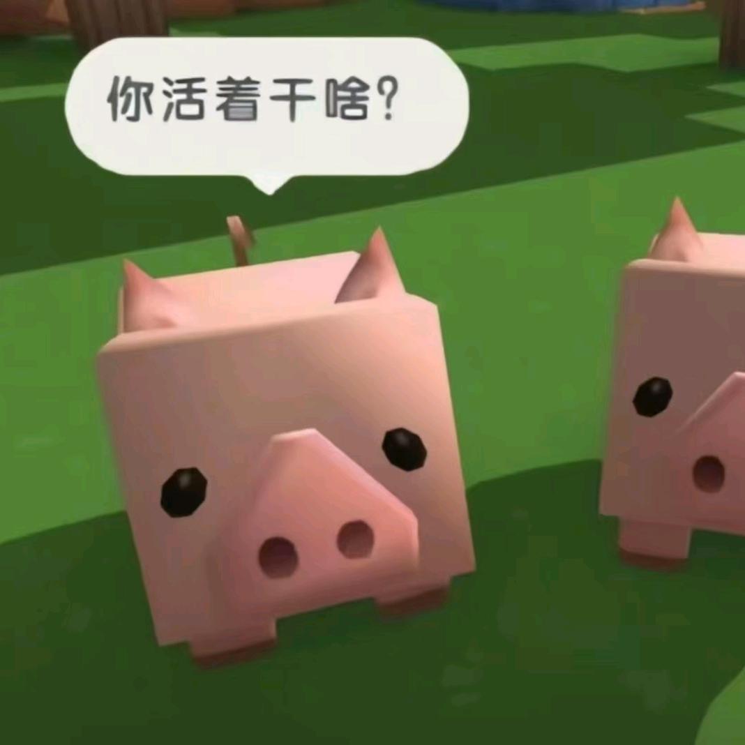 绝望的栀函桂咪.