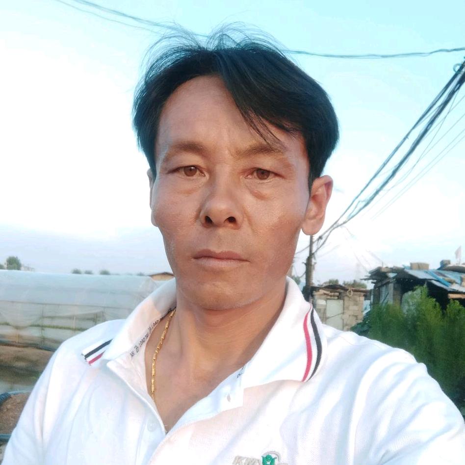 刘刚