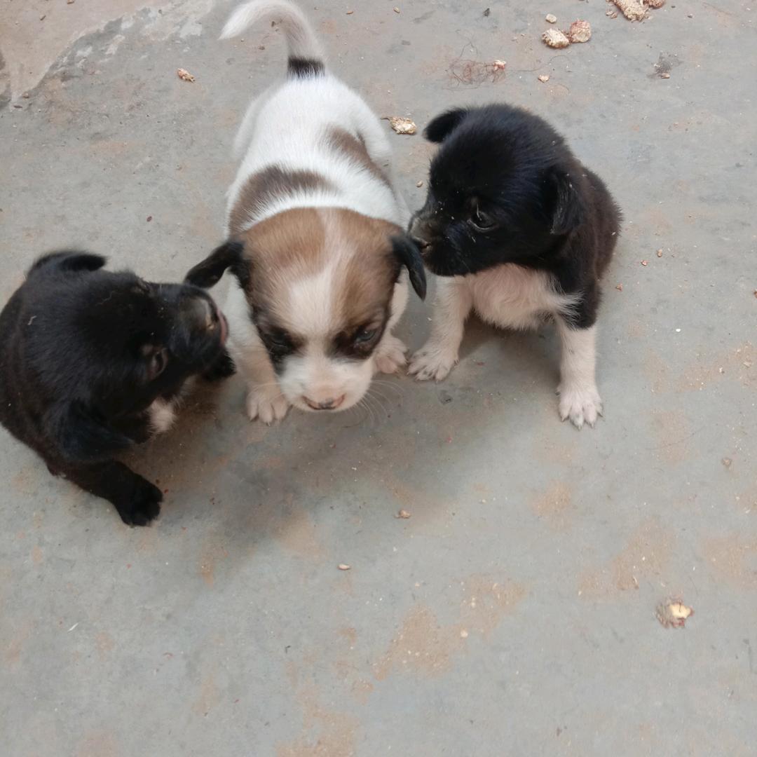 未来可期，？？？、