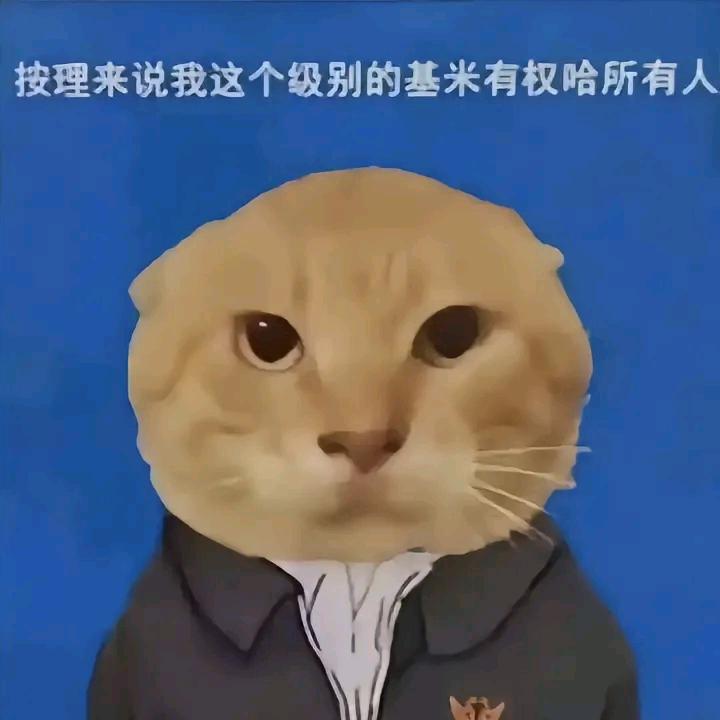 cc
