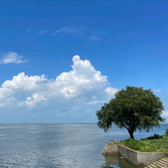 一腔诗意喂了修🐶