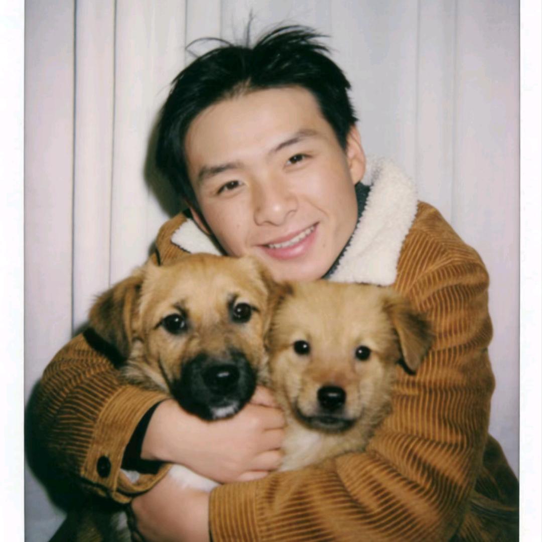 张图图的狗子们🤪