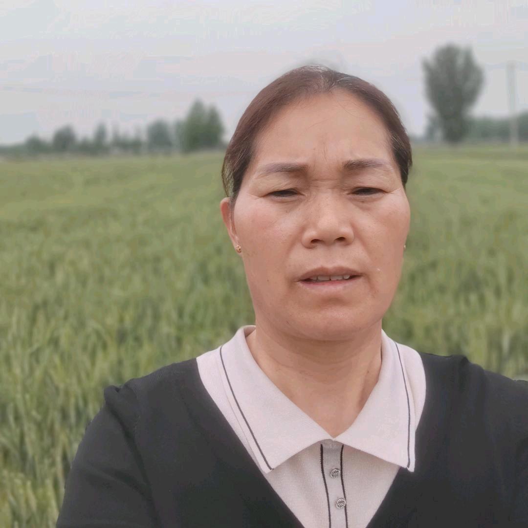 农村万姐