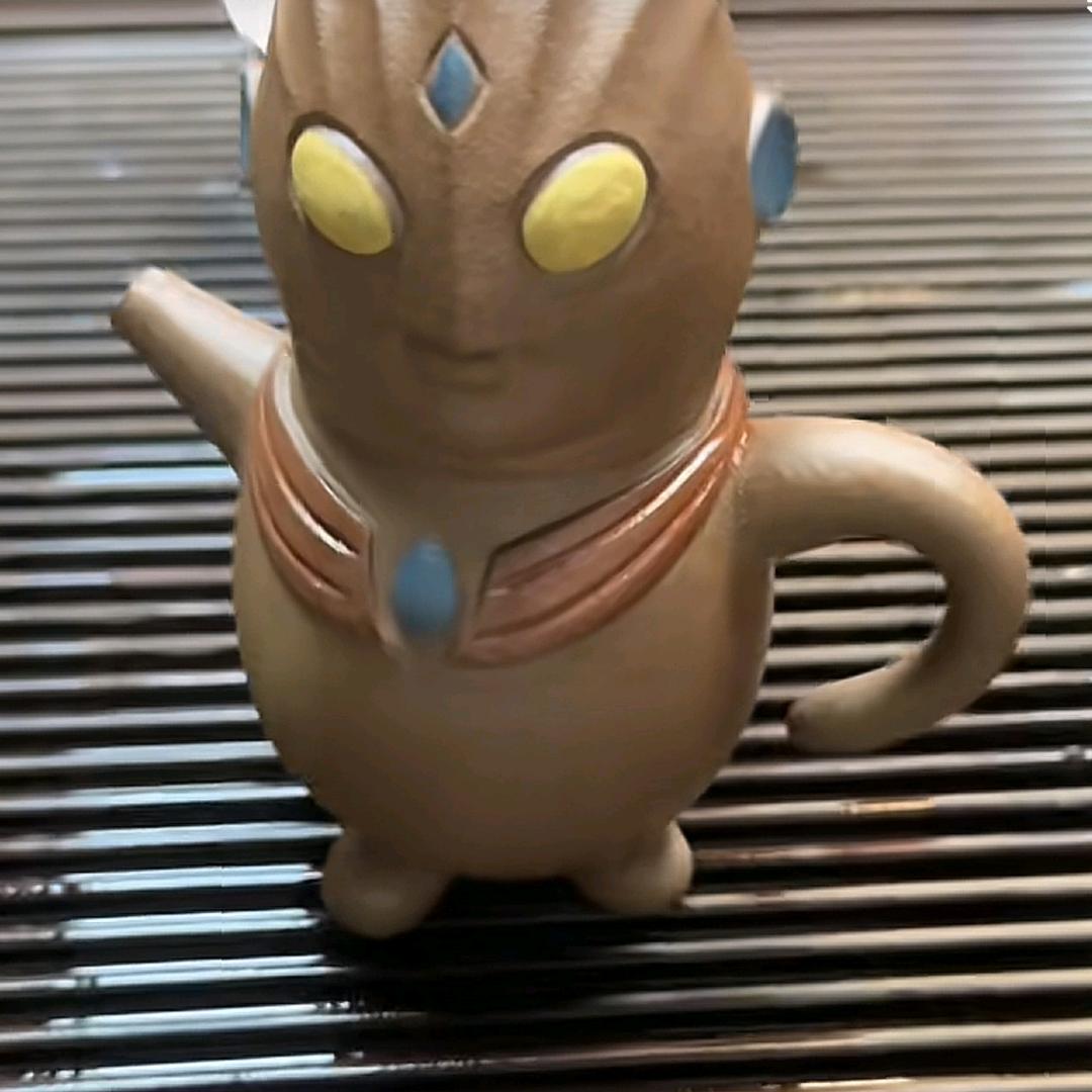 愚夫