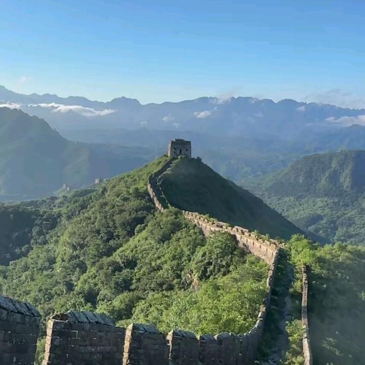 龙哥