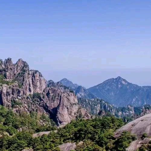 友乐