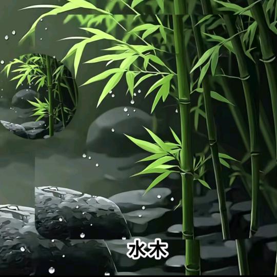 朋友