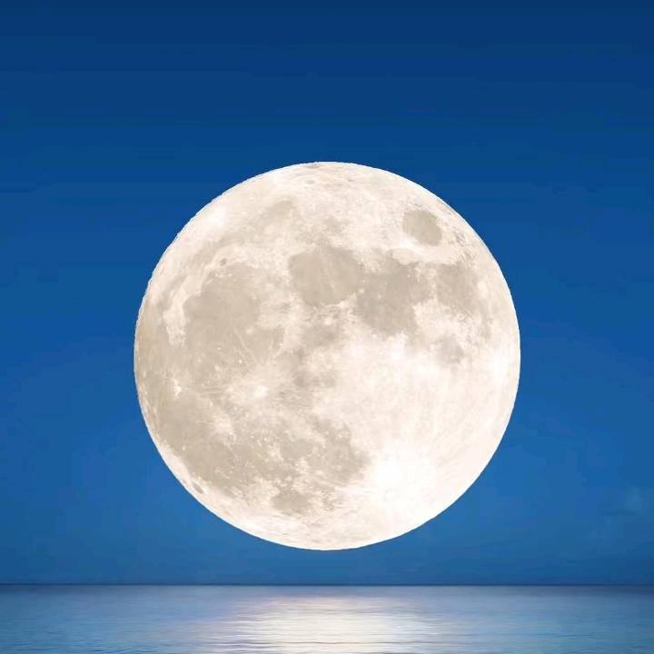 你说
