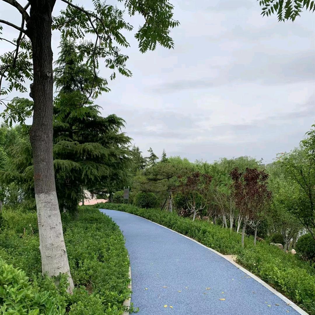 尹之纲