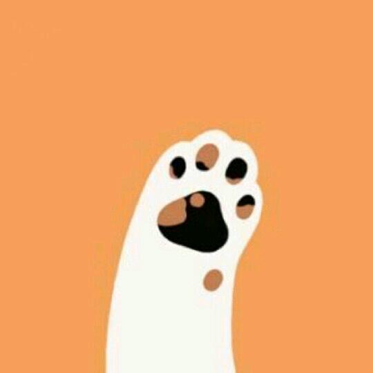 分你一塊小餅乾🍪