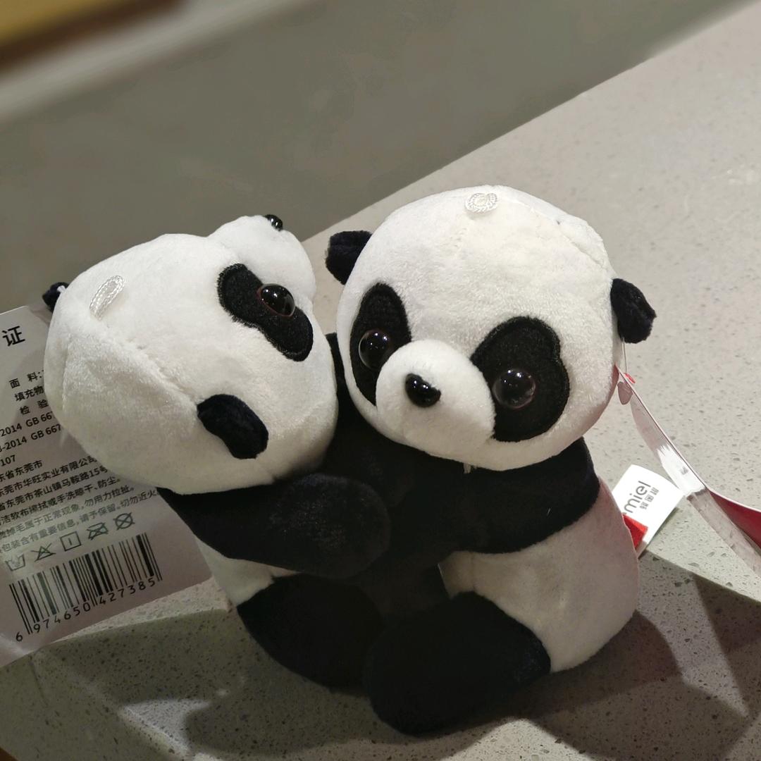 抱抱小熊🐼