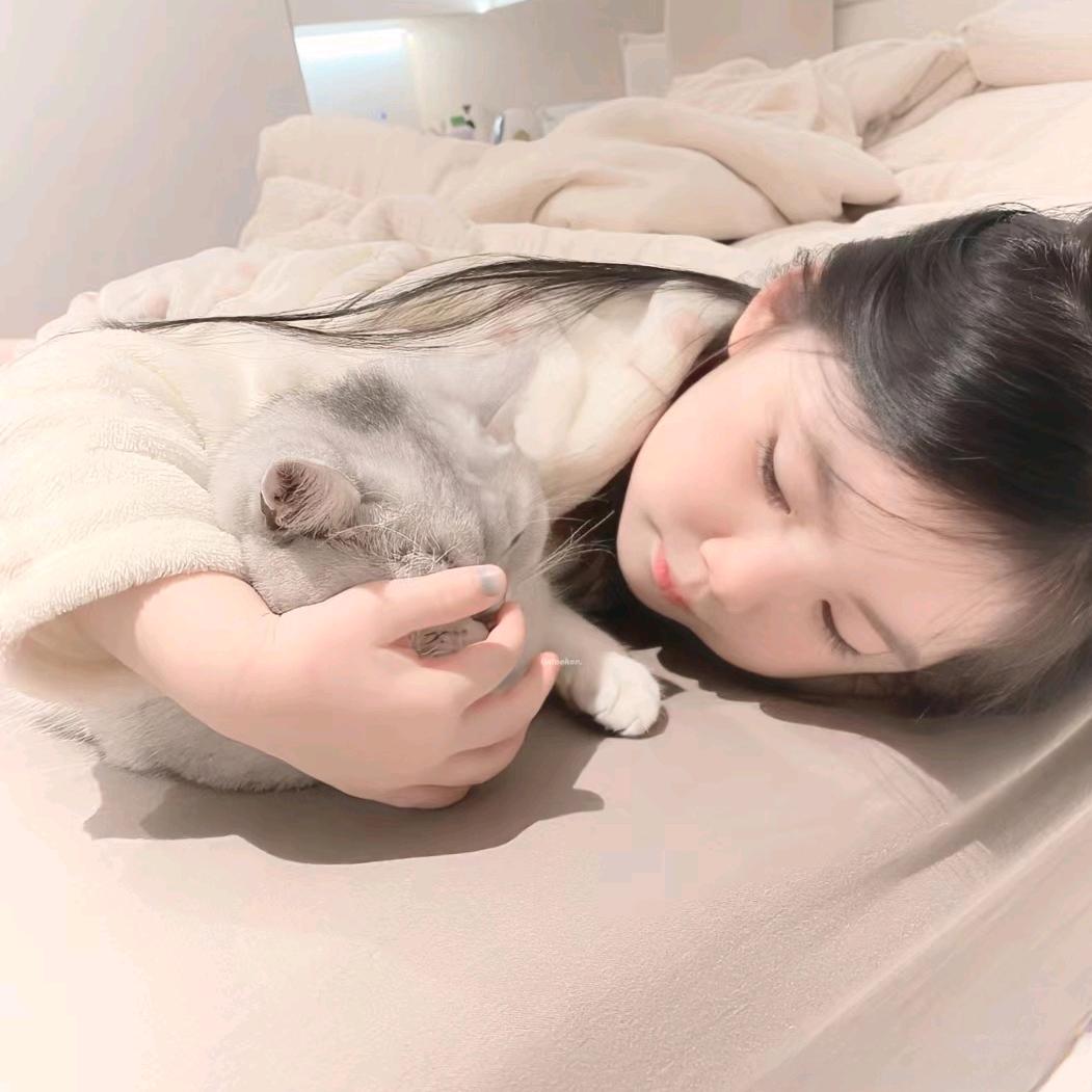 瞌睡虫.