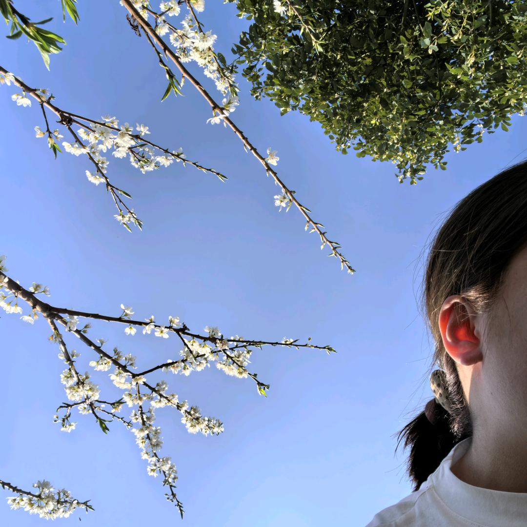 腼腆红娃子🧘🏻‍♀️