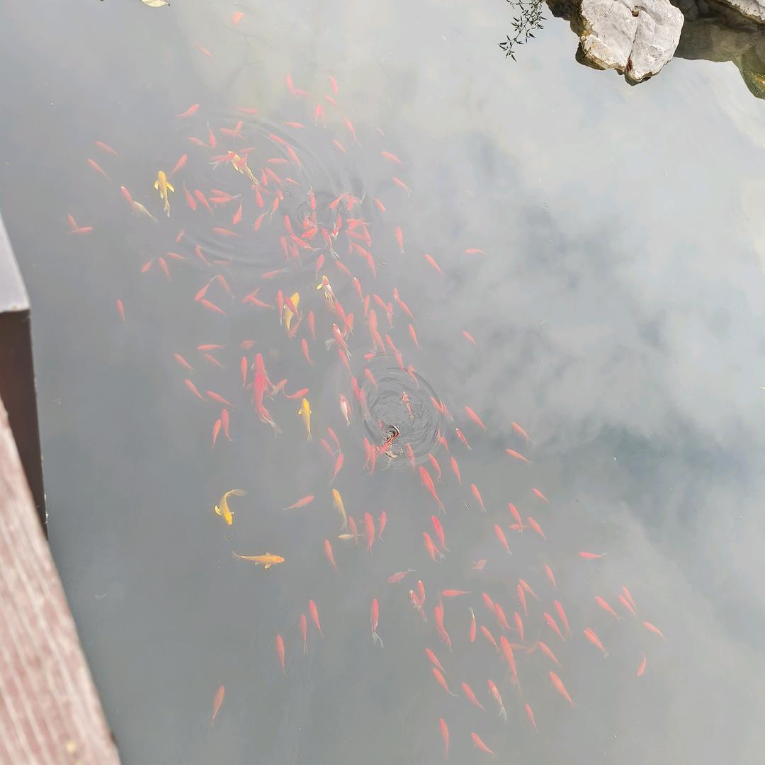 天天进步
