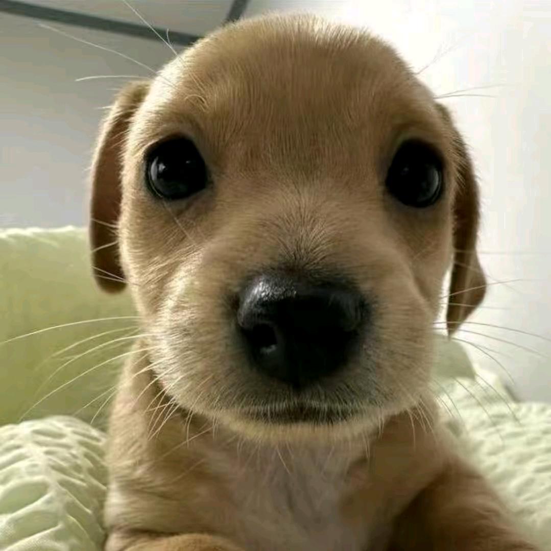 ⁥ ⁥云