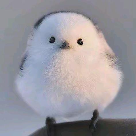 旧梦南辰