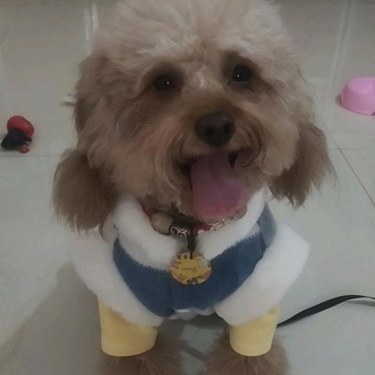 宝贝❤️小圆圆