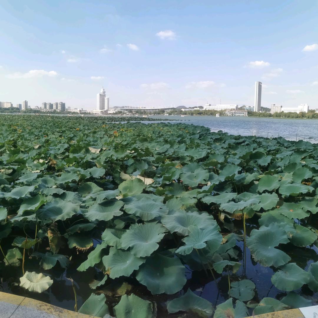 源泉