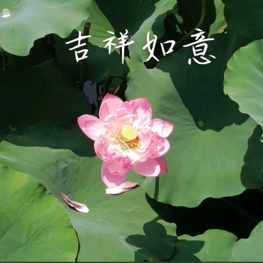 开心😃快乐😊一家人💗