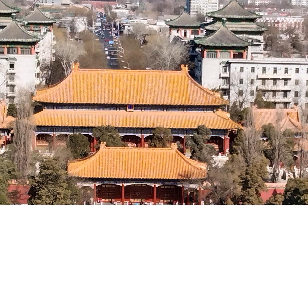 用户2540197133494