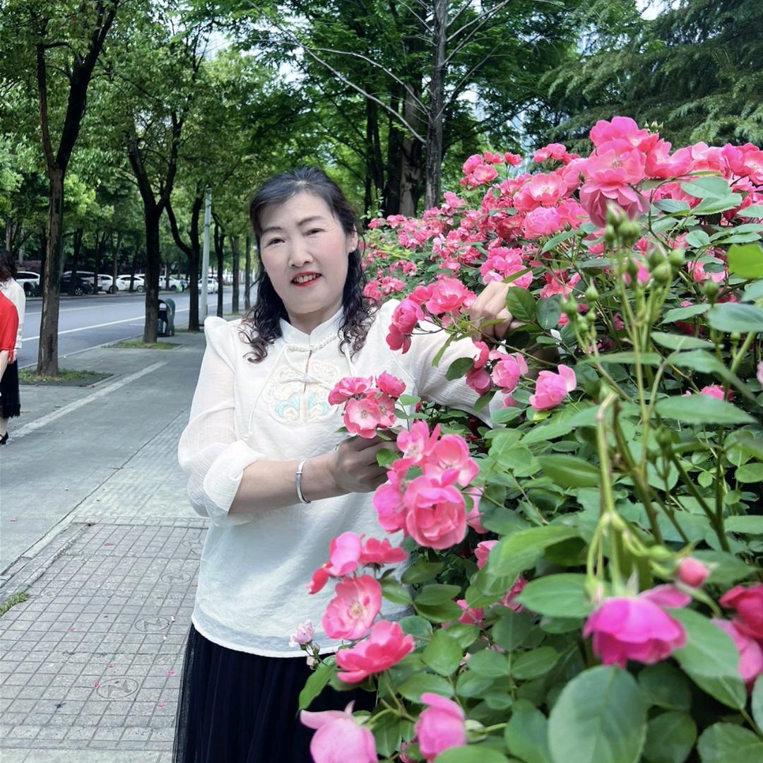 春天梅花