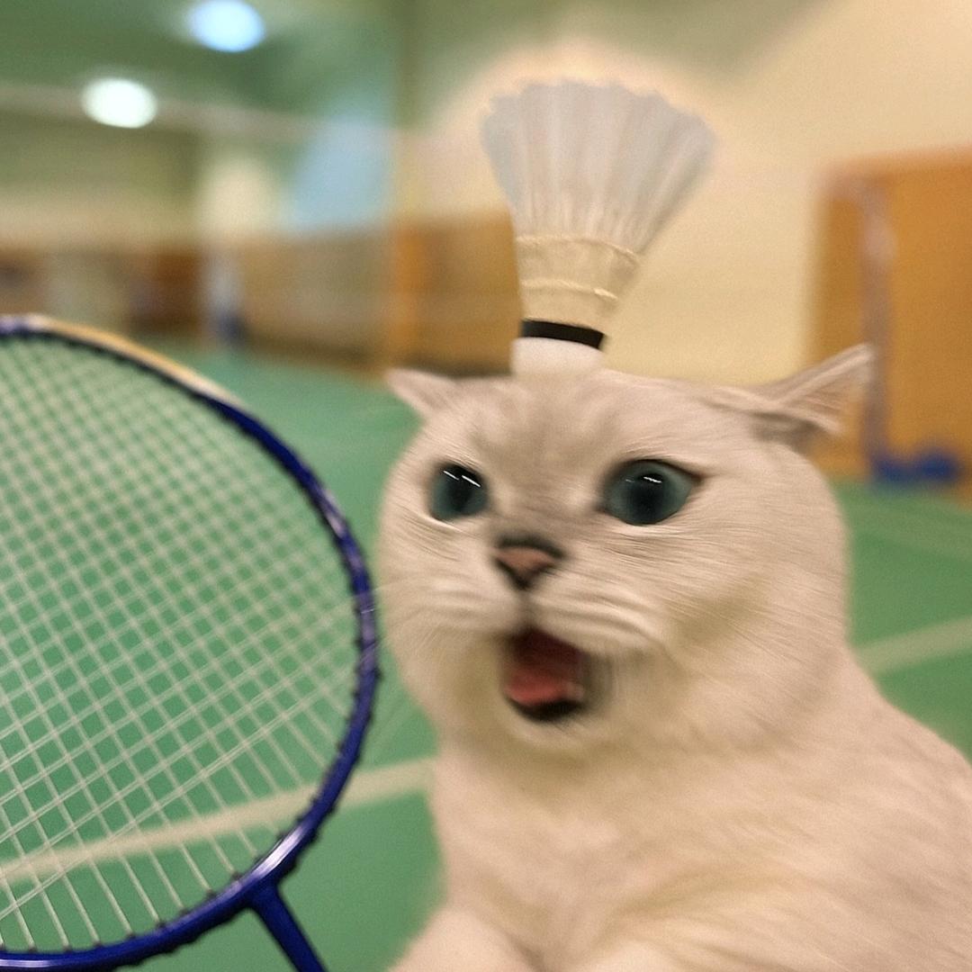 小季iQ