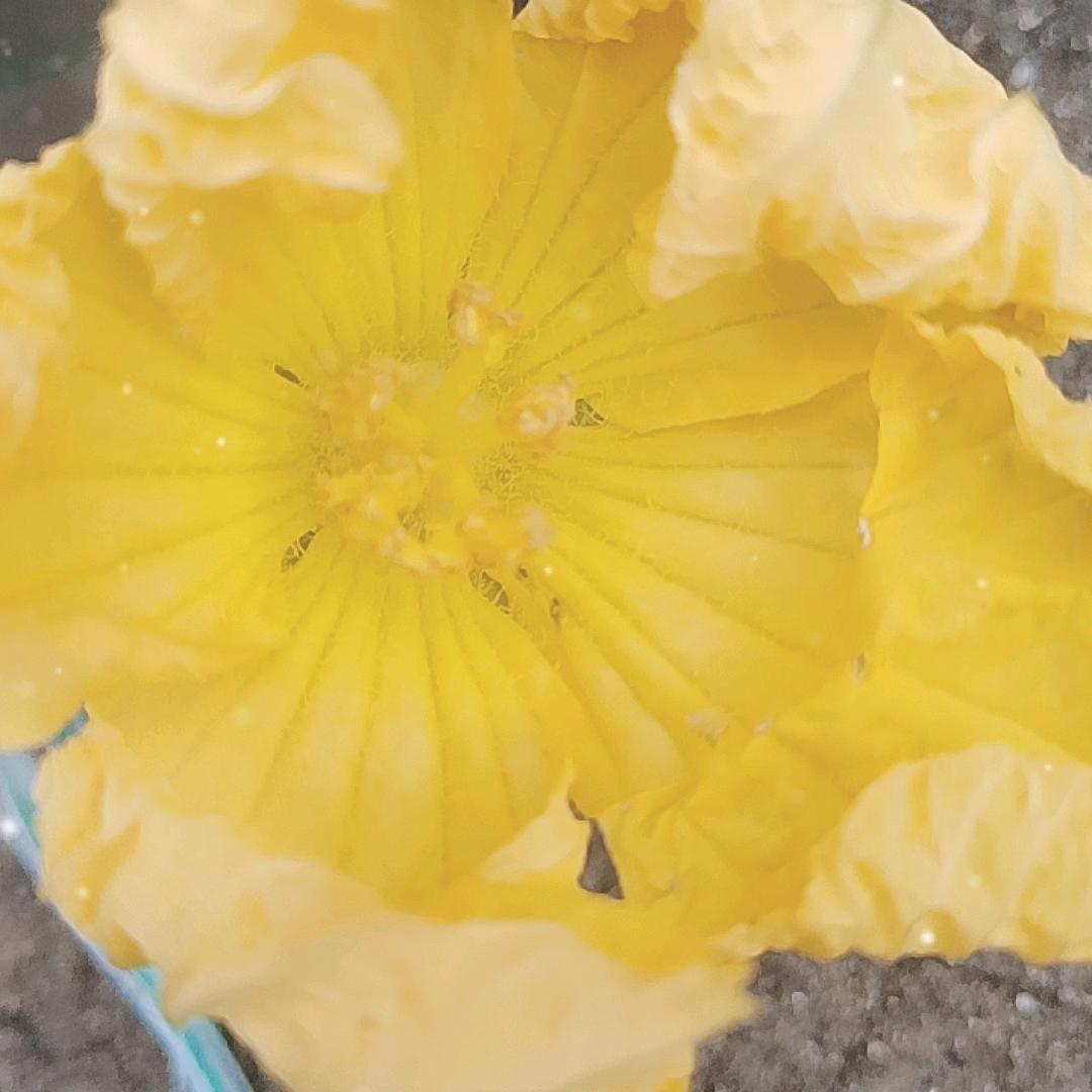戎装徒步北京