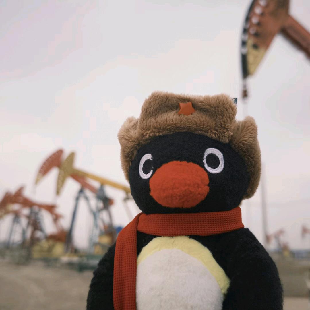 爱吃糖醋口的锅包肉