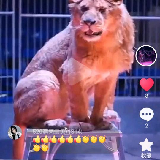 杂技阿豪
