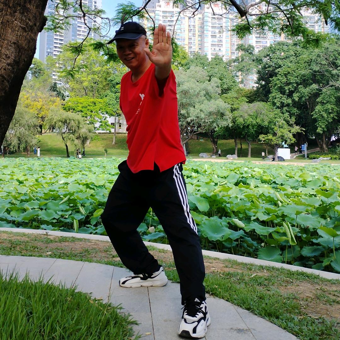 坦荡曳舞
