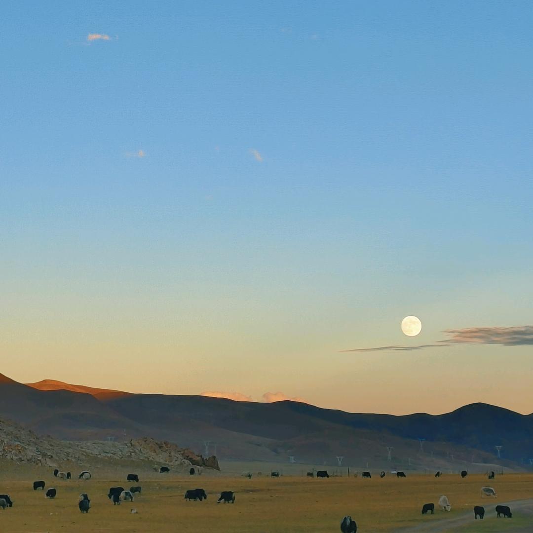 永远在路上看风景