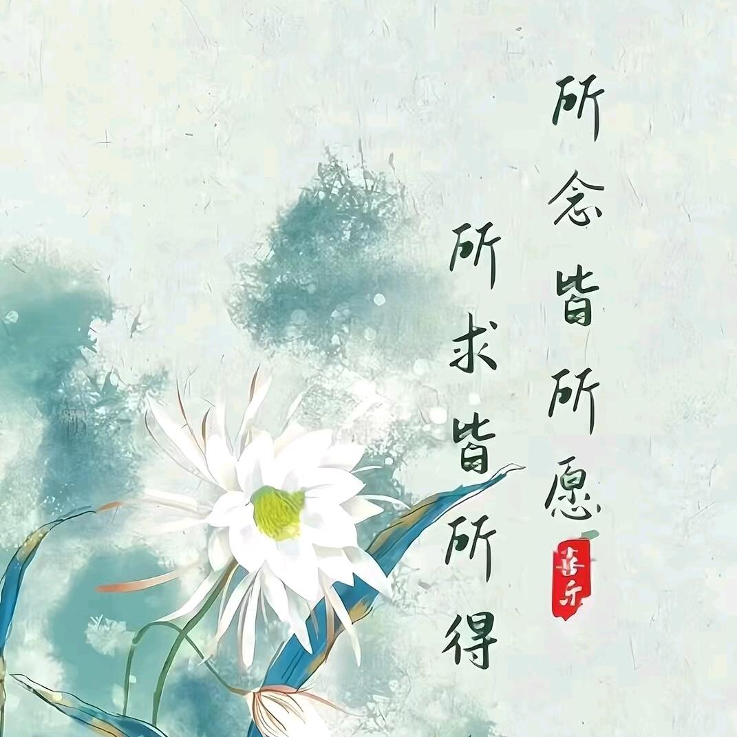 清风何许来人间